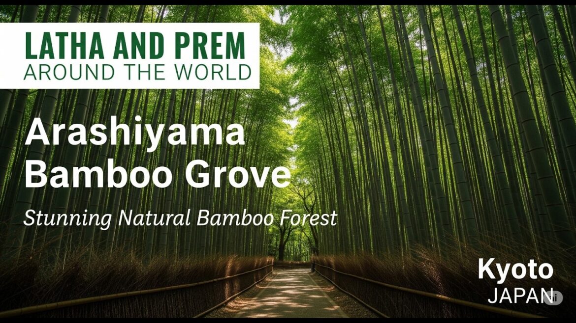 Arashiyama Bamboo Grove Kyoto | Stunning Natural Bamboo Forest & Photo Tour 🇯🇵 Arashiyama Bamboo Grove Kyoto | Stunning Natural Bamboo Forest & Photo Tour 🇯🇵