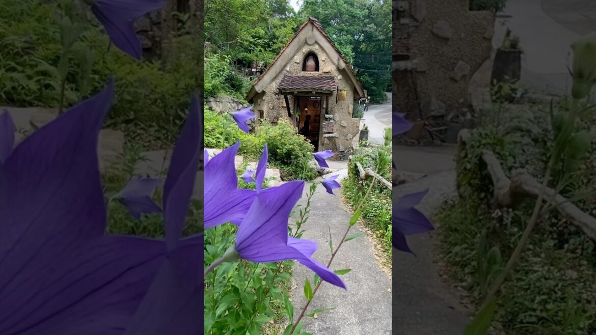 Nukumori No Mori,Hamamatsu. Um lugar que parece um conto de fadas#japão#japao#hamamatsu#travel