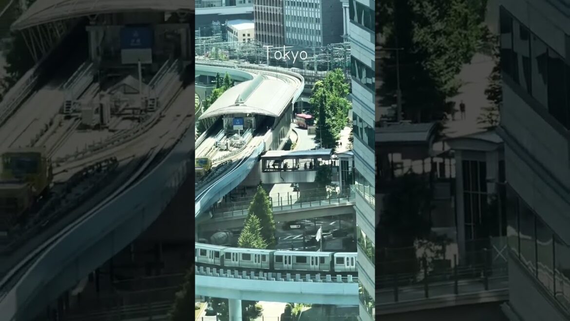 Travel Japan #tokyo #tokyocity #shortsfeed