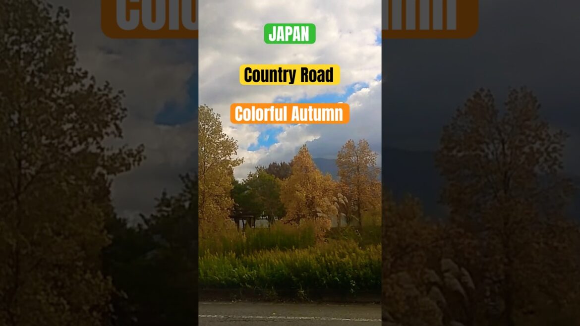 Colorful Country Road of Japan #niigata #nature #autumn #minamiuonuma #shorts