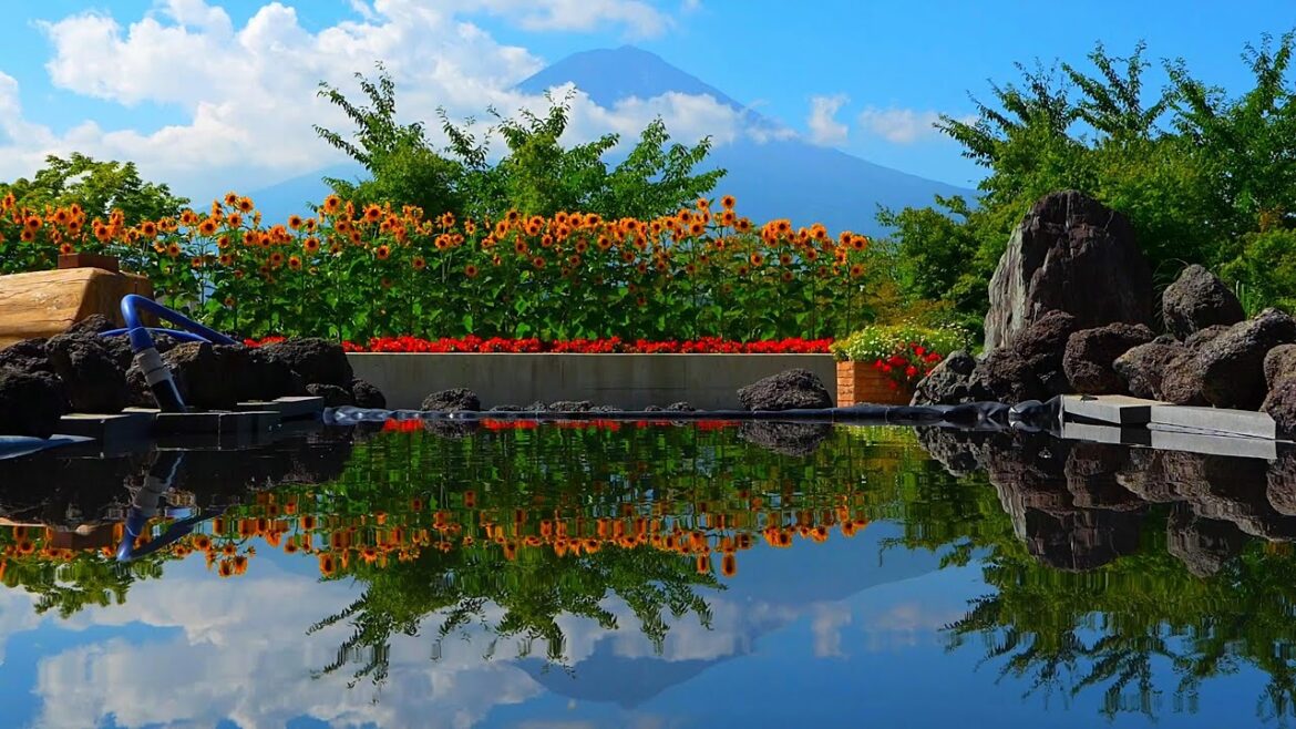 Free admission and highly recommended! Herb Garden Travel Diary Part 2! Free admission and highly recommended! Herb Garden Travel Diary Part 2!