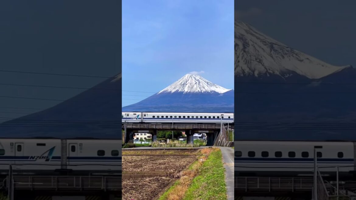 Shinkansen Mt Fuji View 🇯🇵 #asmr #travel #japantravel #youtube #train #youtubeshorts #mtfuji #fyp