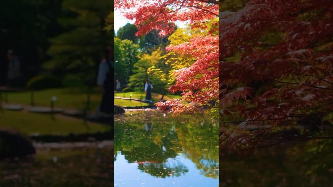 Himeji Highlights: A Glimpse of Timeless Japan ⛩️ Himeji Highlights: A Glimpse of Timeless Japan ⛩️