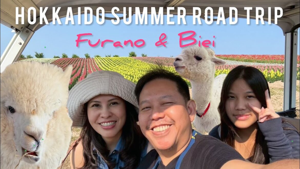 Hokkaido Summer Road Trip : Japan Travel Vlog : Jun – Jul 2025 : Otaru Furano Biei Sapporo : Part 2 Hokkaido Summer Road Trip : Japan Travel Vlog : Jun - Jul 2025 : Otaru Furano Biei Sapporo : Part 2