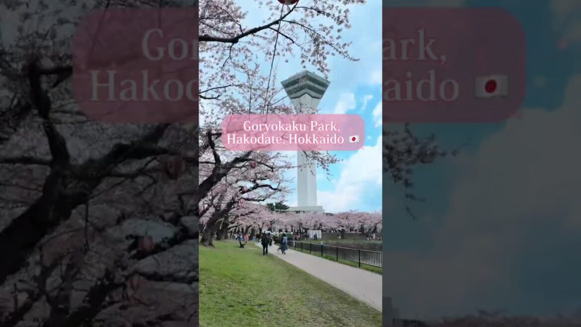 Discover the Star-Shaped Goryokaku Park in Japan 🌸🇯🇵日本の星型公園「五稜郭公園」を探索しよう #japan #shorts #travel