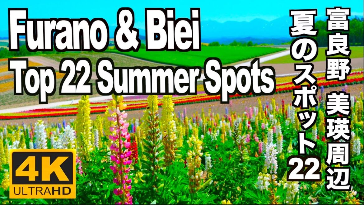 夏の富良野 美瑛周辺ベスト22 Summer Spots Furano & Biei 富良野観光 北海道 HokkaidoTrip 青い池 四季彩の丘 FlowerGarden JAPAN