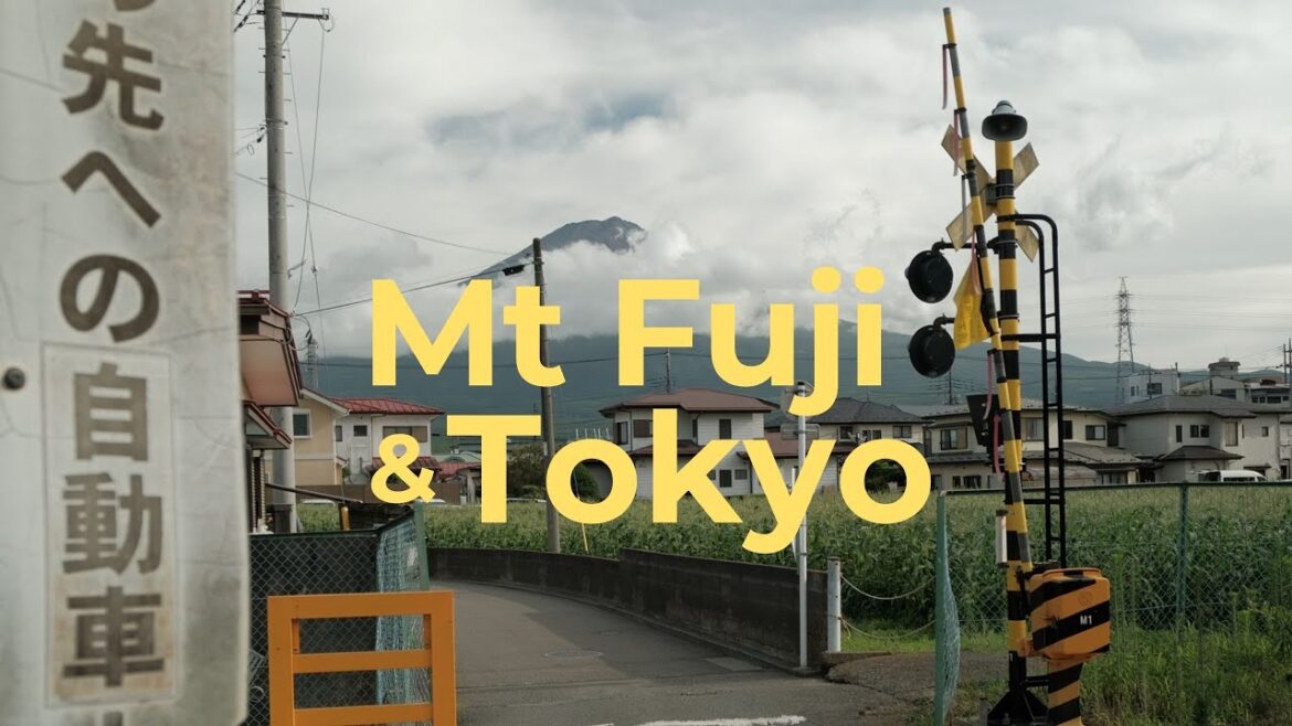 Japan Vlog | Japan Trip Part 2 | Hotel with Mt Fuji View | Japanese Baseball Experience | Tokyo 2025 Japan Vlog | Japan Trip Part 2 | Hotel with Mt Fuji View | Japanese Baseball Experience | Tokyo 2025