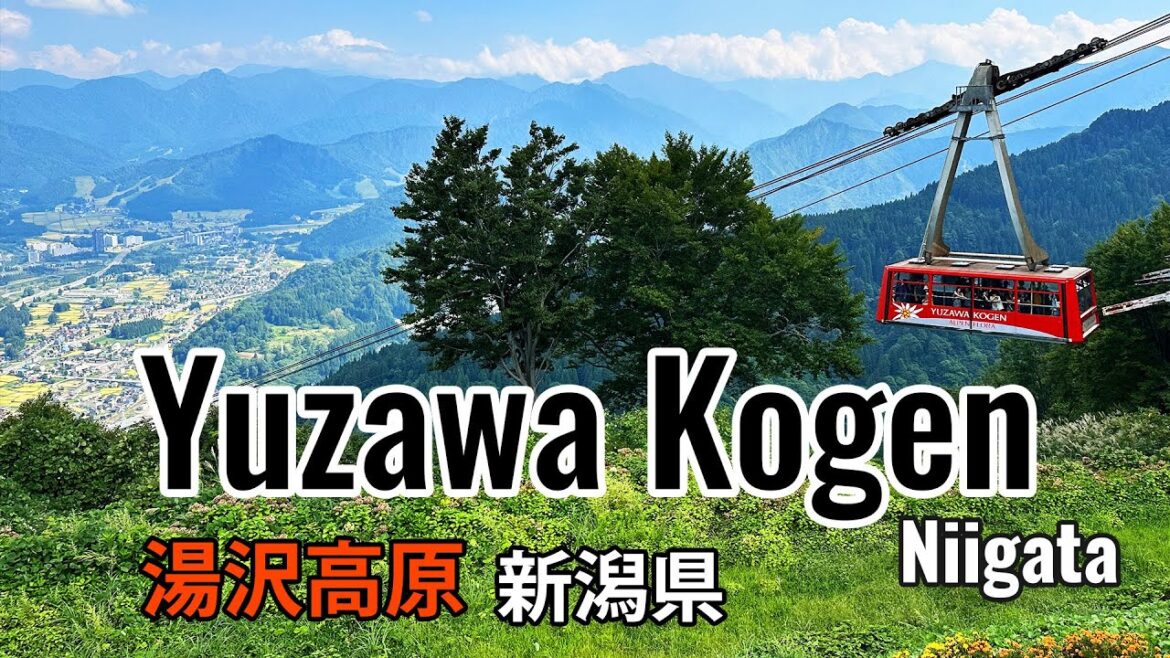 Yuzawa Kogen day trip to Niigata Japan | Niigata summer | 湯沢高原 新潟県