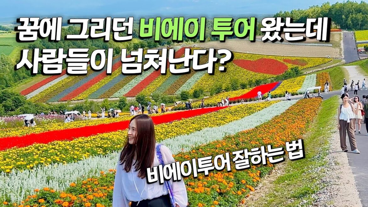 🇯🇵 삿포로 여행의 필수 코스 비에이 후라노 투어 한번에 둘러보기 🍯 꿀팁 | 나 혼자 홋카이도 여행
