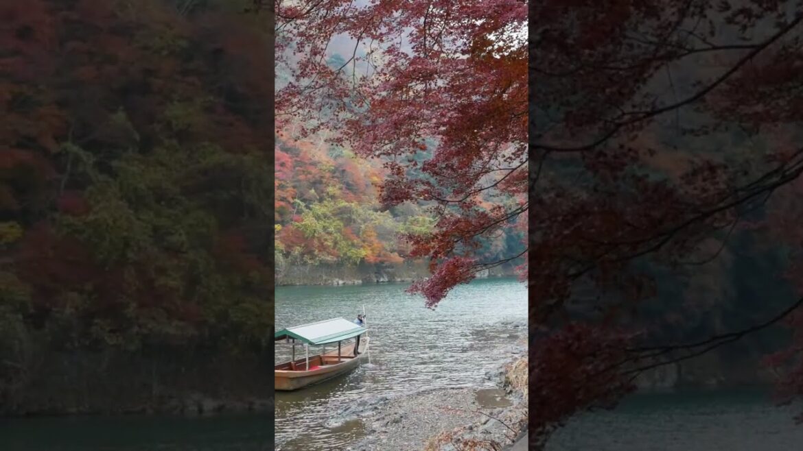 Kyoto City Tour | Explore Japan’s Cultural Capital #koyoto #japan #travel #trending #viral