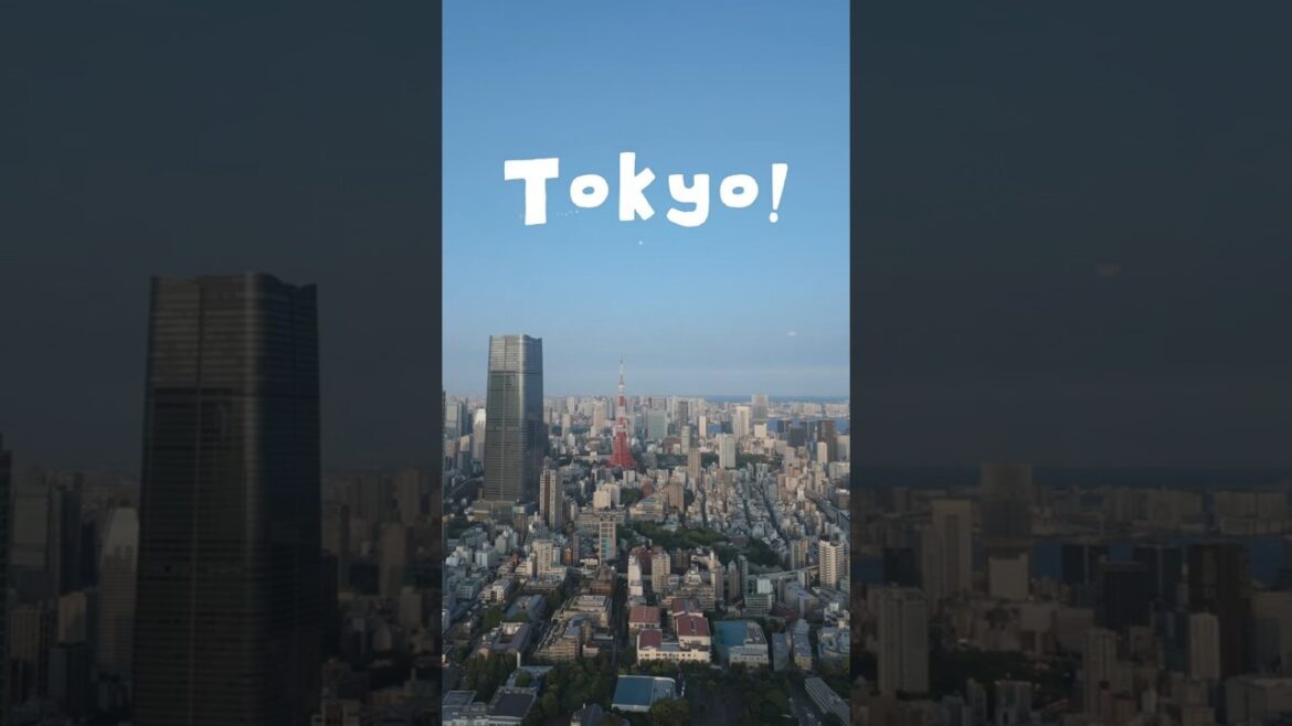 Japan Vlog | Tokyo | Yokohama | Daikoku | Japan Trip 2025 #travel #japan #일본 #tokyo #도쿄 #yokohama