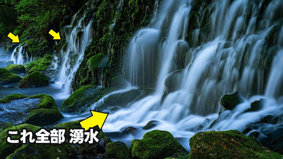 【神秘の湧水】山奥のだれもいない湧水群 夏でも涼しい鳥海山の恵 秋田観光 山形観光 JAPAN 【神秘の湧水】山奥のだれもいない湧水群 夏でも涼しい鳥海山の恵 秋田観光 山形観光 JAPAN
