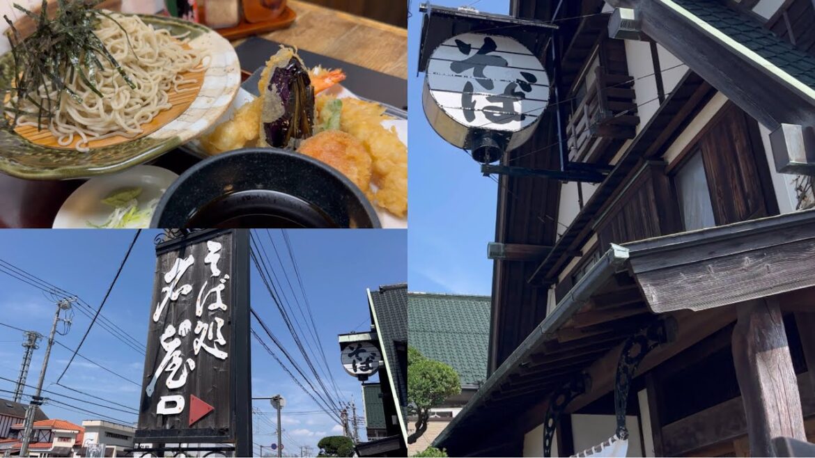 そば処 名古屋 天ざる 神奈川県藤沢市 蕎麦屋 Ten Zaru Soba Noodles NAGOYA Japanese foods restaurant