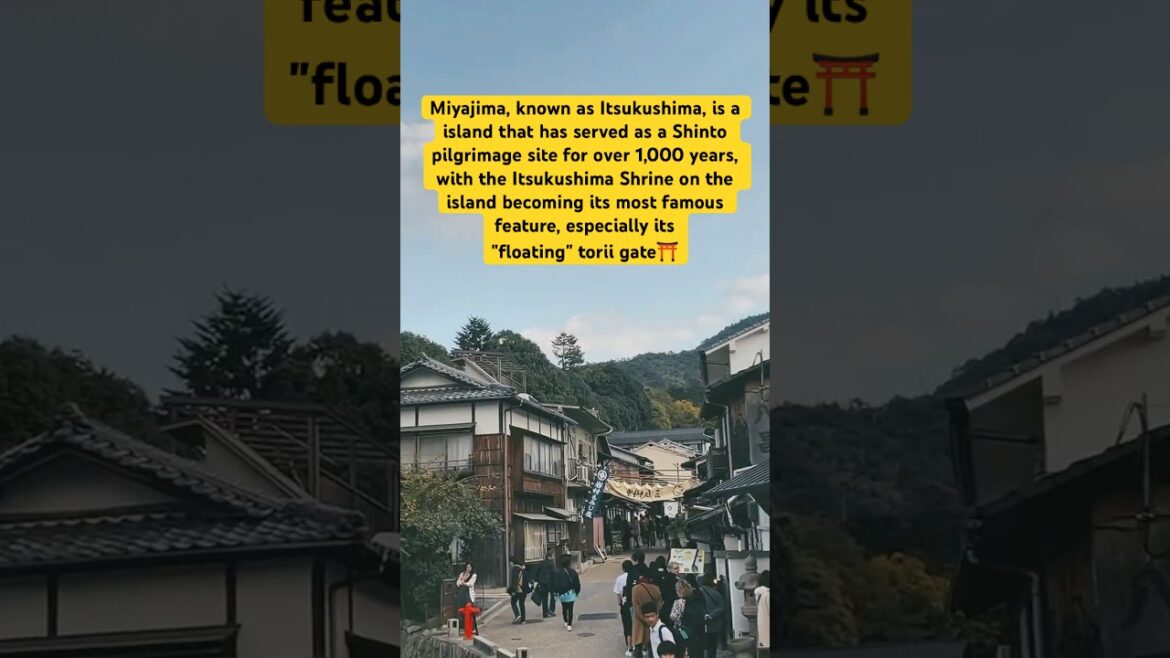 #MustSee 😌✅ When in HIROSHIMA Japan?!?! #miyajima #travel #japanesefood