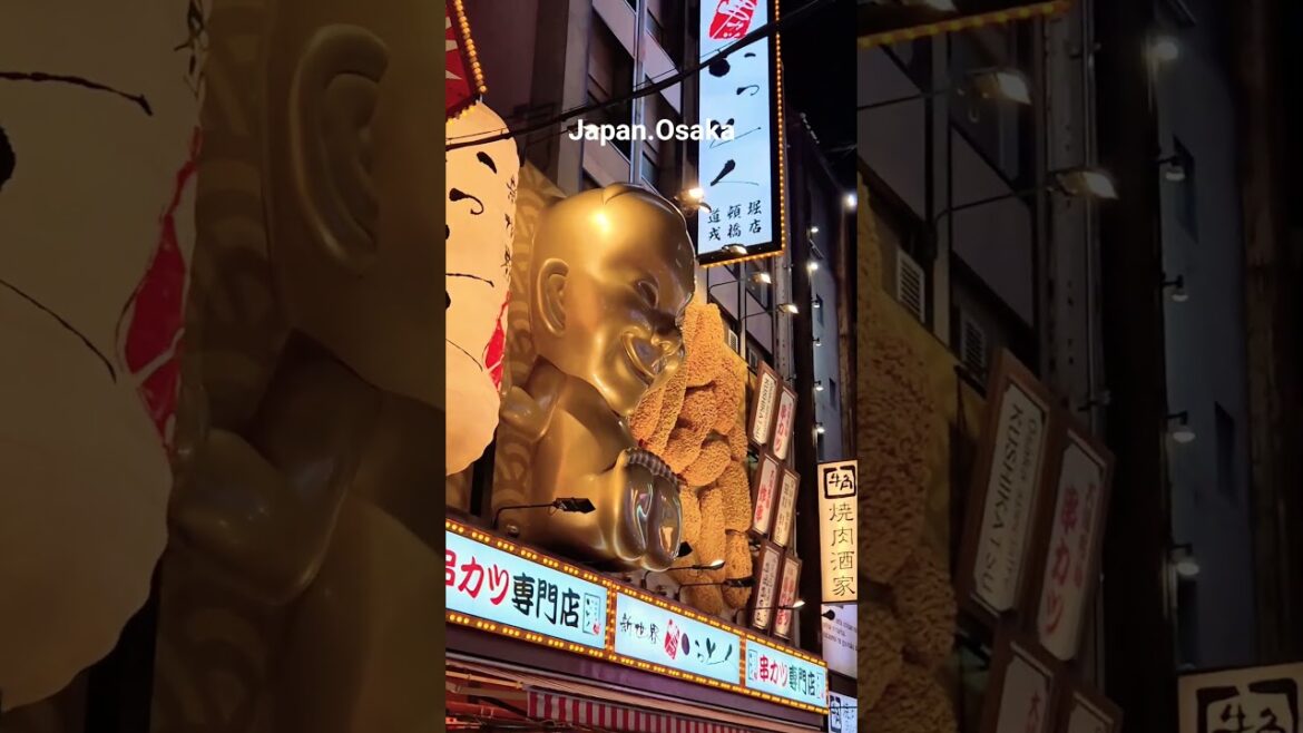 Japan.Osaka #travel #trip #tour #shortvideo #shorts #short #osaka #japan #dotonbori #여행