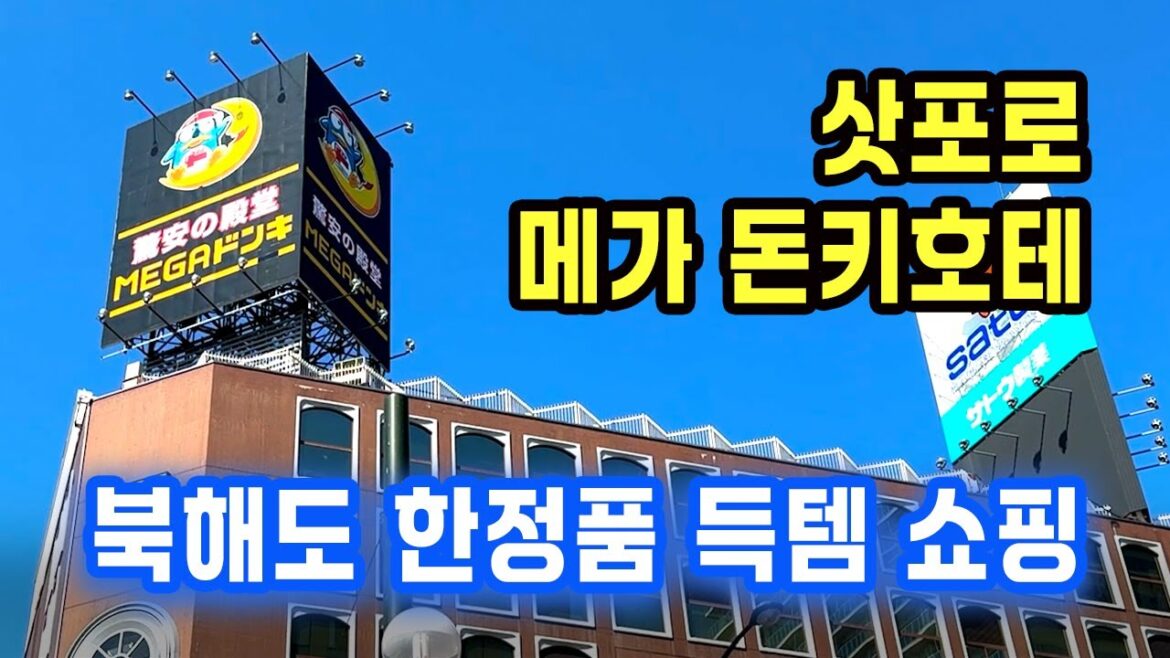 🇯🇵 2025 삿포로 돈키호테 타누키코지점 쇼핑의 모든 것! 2025 최신 가격 & 꿀템 리스트 MEGA Don Quijote Sapporo Tanukikoji Honten