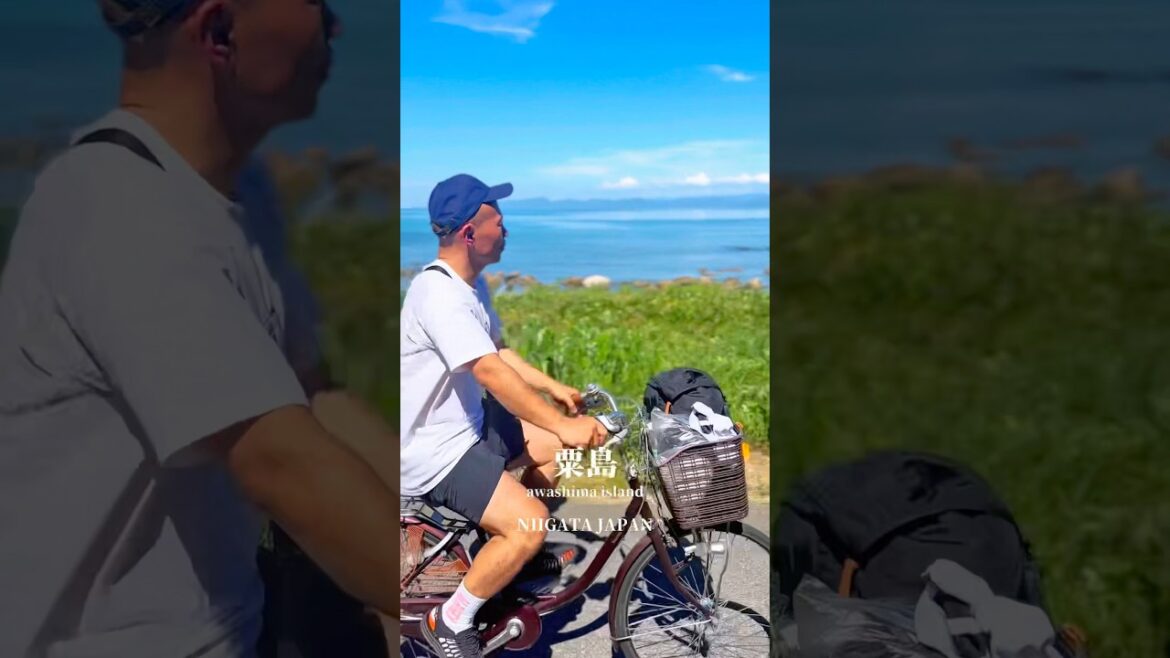 人口300人しかいない島、新潟県に浮かぶ秘島【粟島】 #旅行 #観光 #新潟観光 #島暮らし