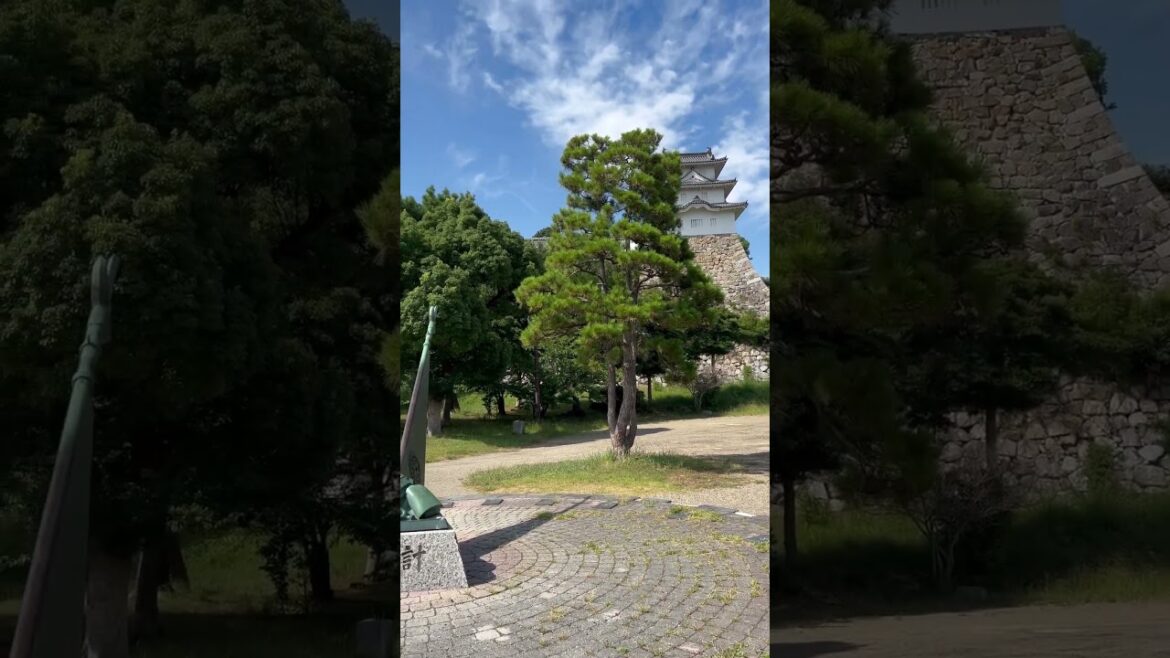 【KOBE】Must-See Tourist Attraction – Akashi Castle Park 【KOBE】Must-See Tourist Attraction - Akashi Castle Park