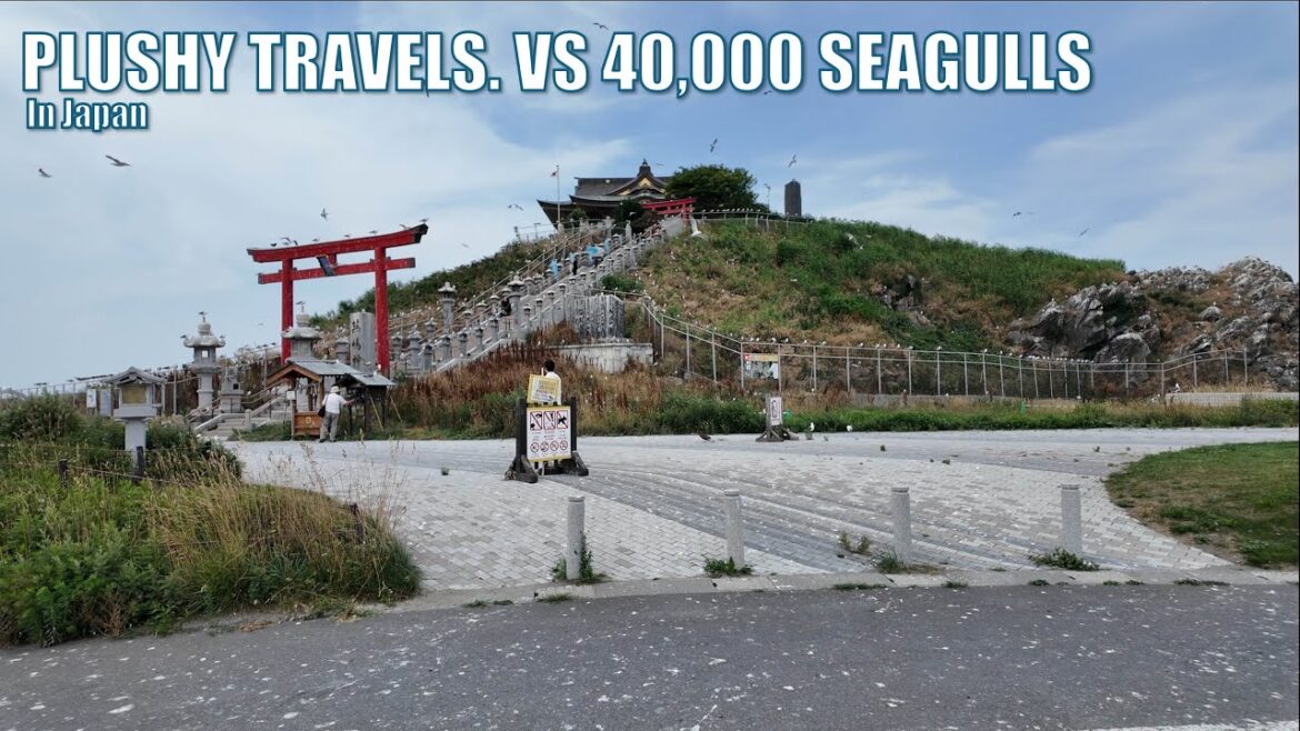 [Aomori 6] Plushy Travels vs. 40,000 Seagulls | Hachinohe, Tanesashi Coast, Kabushima Shrine