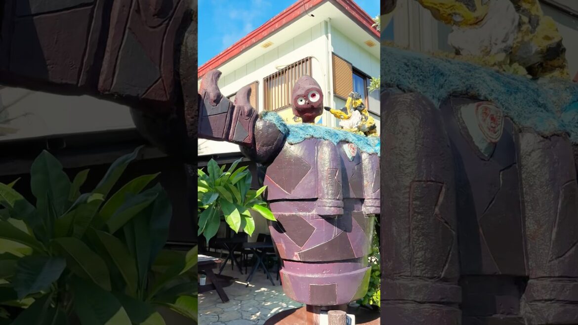 ✨ 24 heures sur l’île paradisiaque de Zamami !