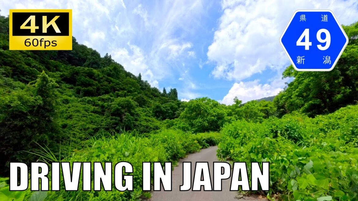 【Driving in Japan】Niigata Prefectural Route 49 : Tsunan - Tōkamachi [Insta 360 Ace Pro 2 4K60P]