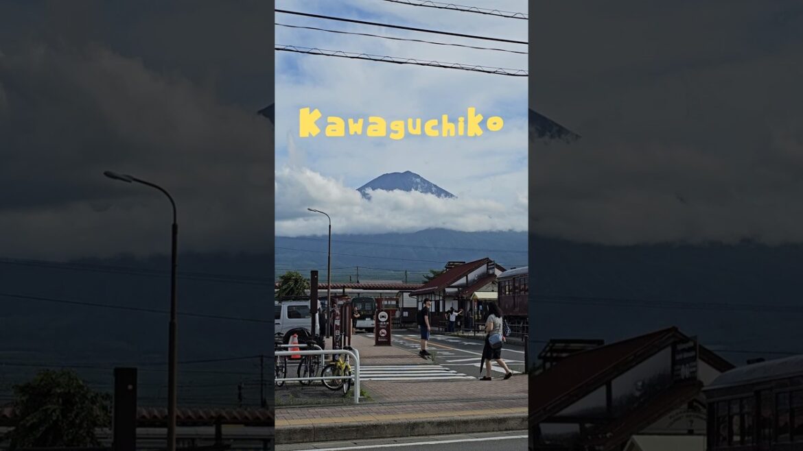 Japan Vlog | Mt Fuji | Japan Trip 2025 | #travel #japan #일본 #JapanVlog #tokyo #도쿄 #mtfuji #富士山 #Fuji