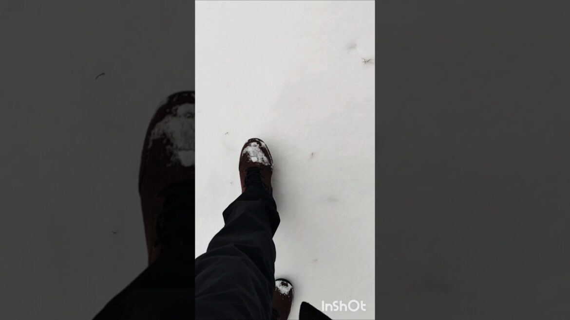 Japow (Japan Powder Snow) @ Furano, Hokkaido 2024