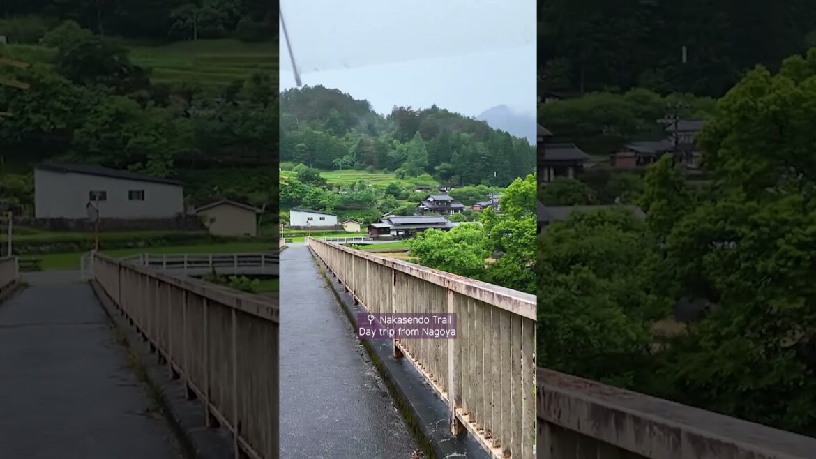 Go here if you want to see rural Japan! 😍 Go here if you want to see rural Japan! 😍