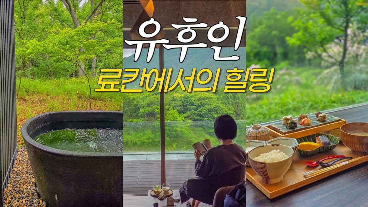 히타→유후인 1박2일|료칸 노천탕에서 제대로 즐긴 후쿠오카 근교 여행 브이로그 히타→유후인 1박2일|료칸 노천탕에서 제대로 즐긴 후쿠오카 근교 여행 브이로그