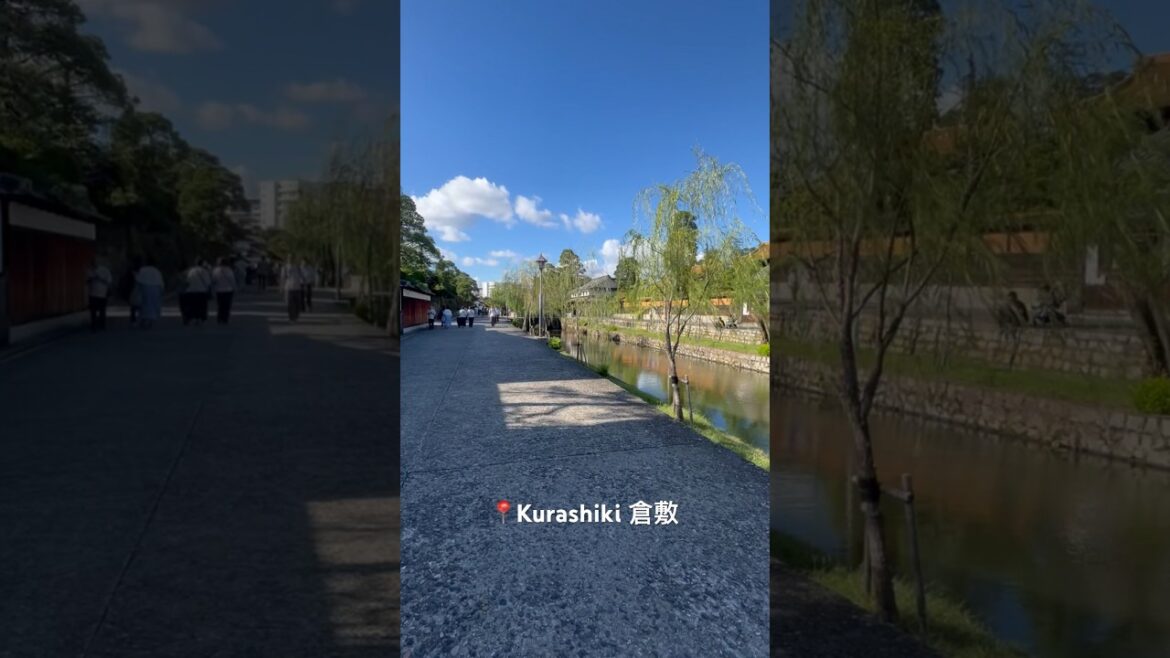 Kurashiki old town by the canel #kurashiki #japan #shorts #travel #倉敷 #japantravel #倉敷美観地区 Kurashiki old town by the canel #kurashiki #japan #shorts #travel #倉敷 #japantravel #倉敷美観地区