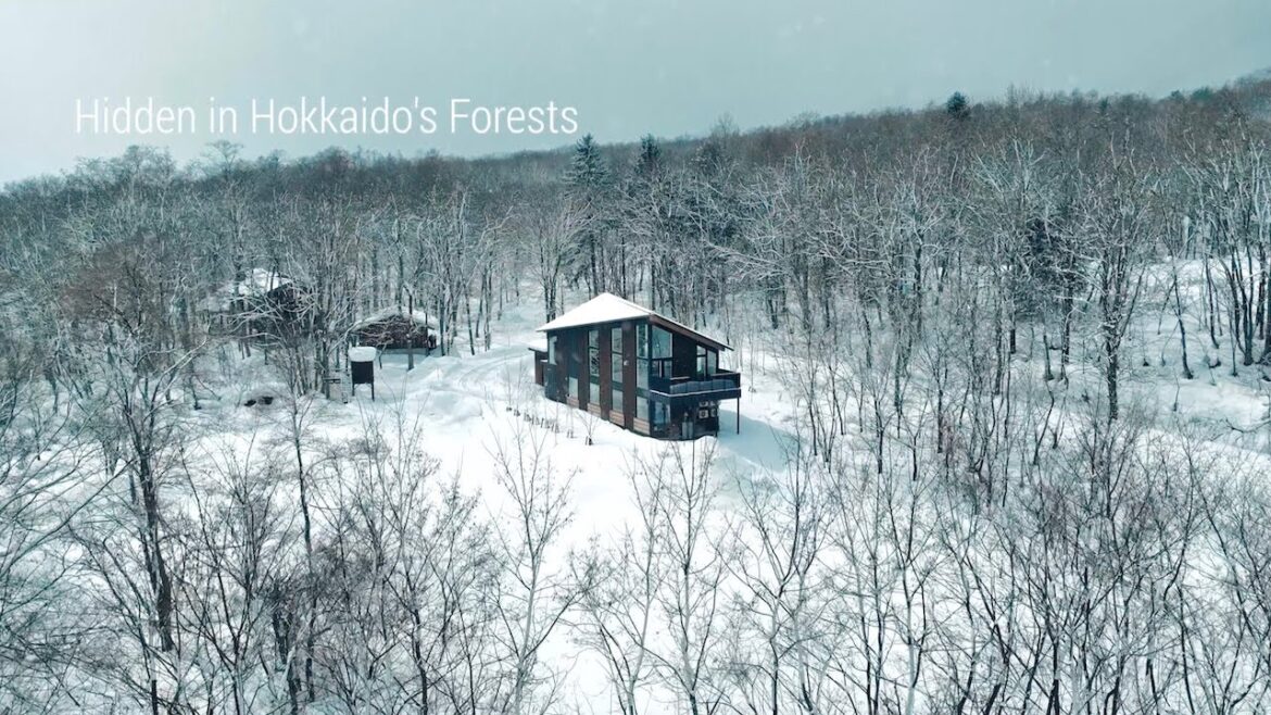Hidden in Hokkaido's Forests - Nakagoryo, Furano