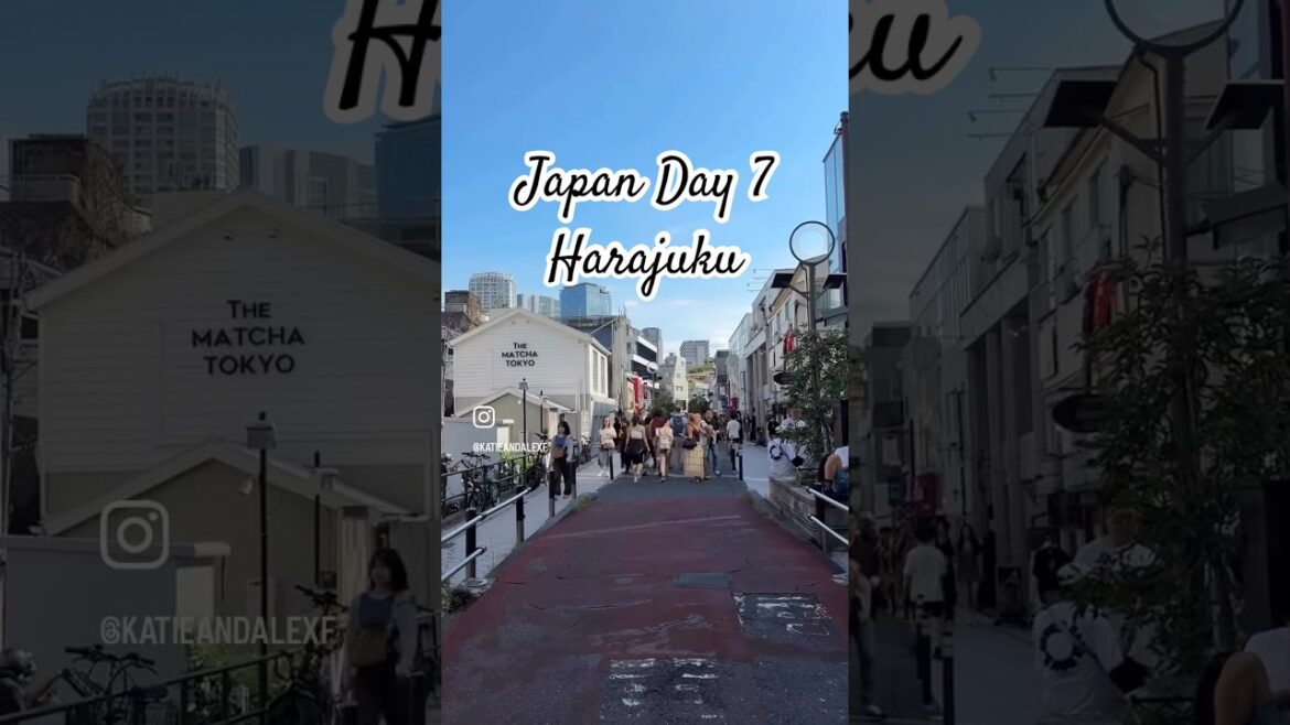 Japan Day 7 | Harajuku 🍵🐷🎀 #japan #travel #japantravel #harajuku #shopping