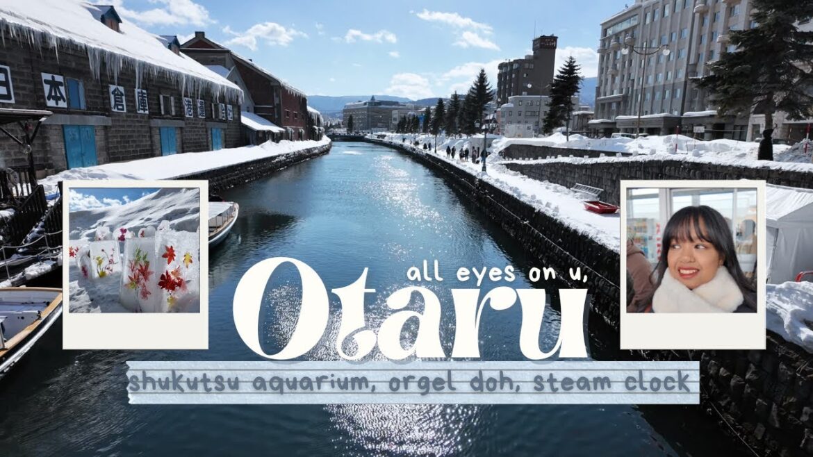 JAPAN VLOG | winter in otaru 🇯🇵❄️
