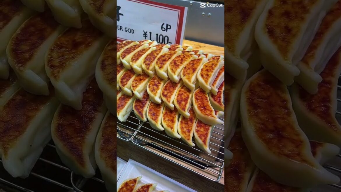 Kuromon Market Food Trip Osaka Japan