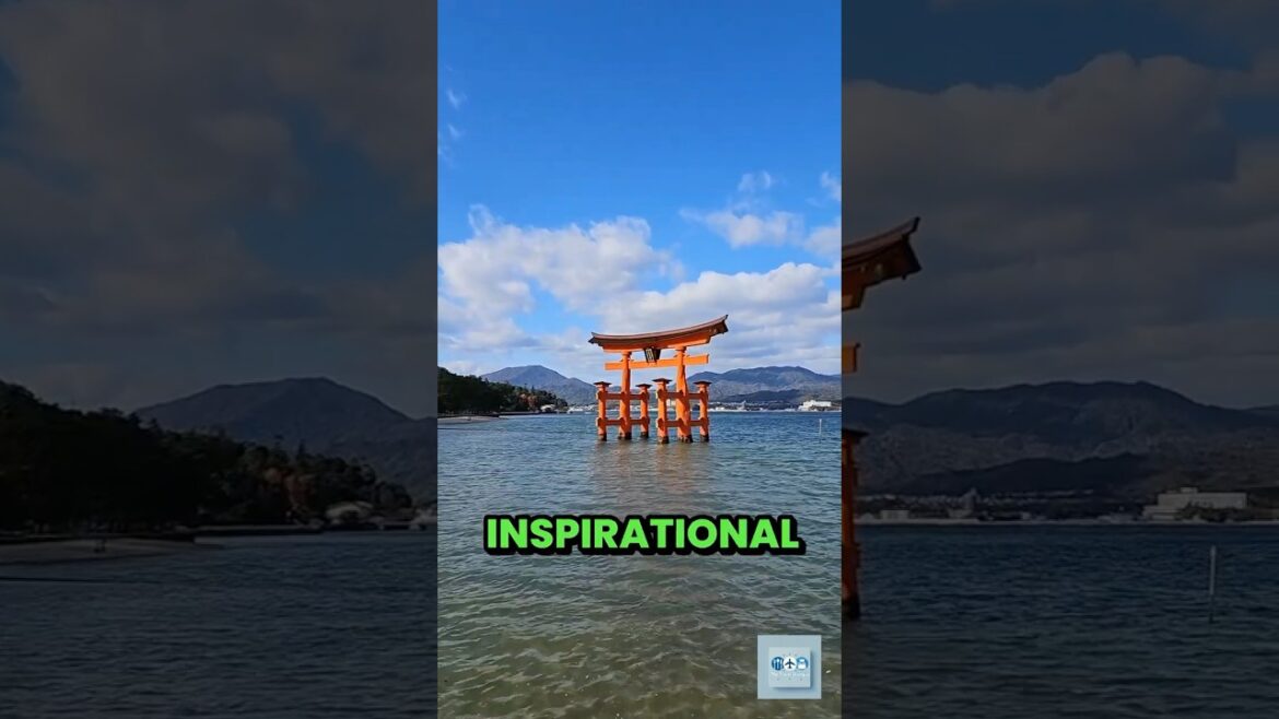 A shocking survival story inside a nuclear bunker in Hiroshima #travel #japan #worldwar2 #history A shocking survival story inside a nuclear bunker in Hiroshima #travel #japan #worldwar2 #history