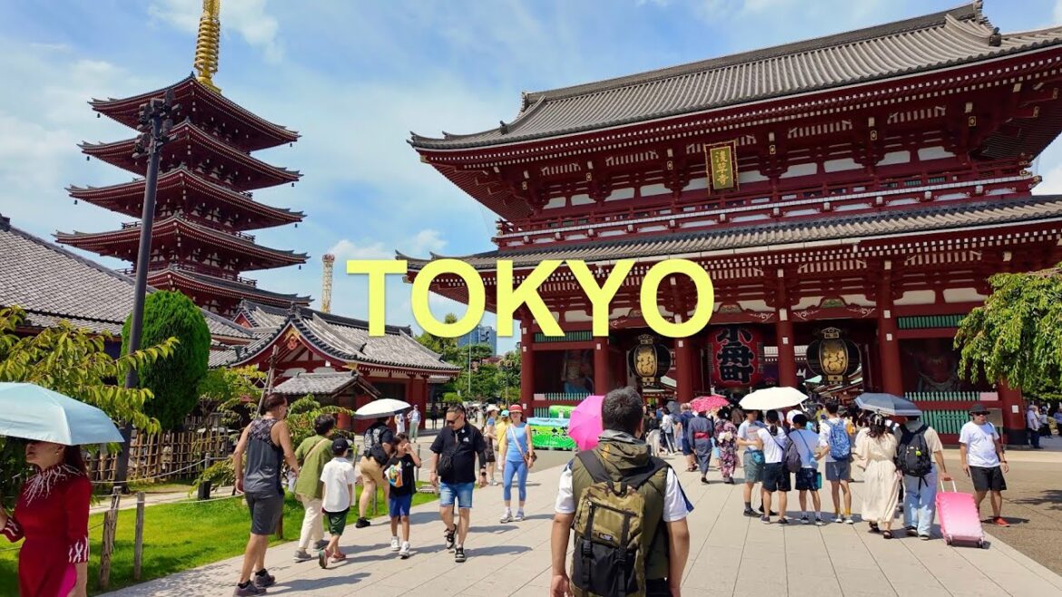 48 hours in Tokyo, Japan🇯🇵✨ 48 hours in Tokyo, Japan🇯🇵✨