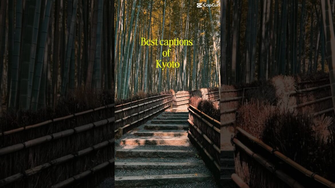 #japan #kyoto #japangarden #bambooforest #temple #shrine #pagode #traditionaljapan #kyototower