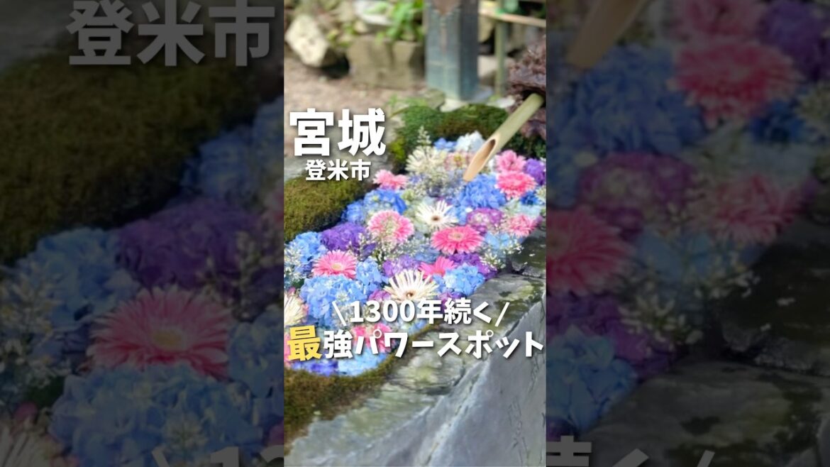 【宮城観光】1300年続く！最強パワースポット🔥#仙台観光 #宮城観光 #仙台旅行 #宮城旅行 #神社 #パワースポット #japantravel #japan #shrine #shorts