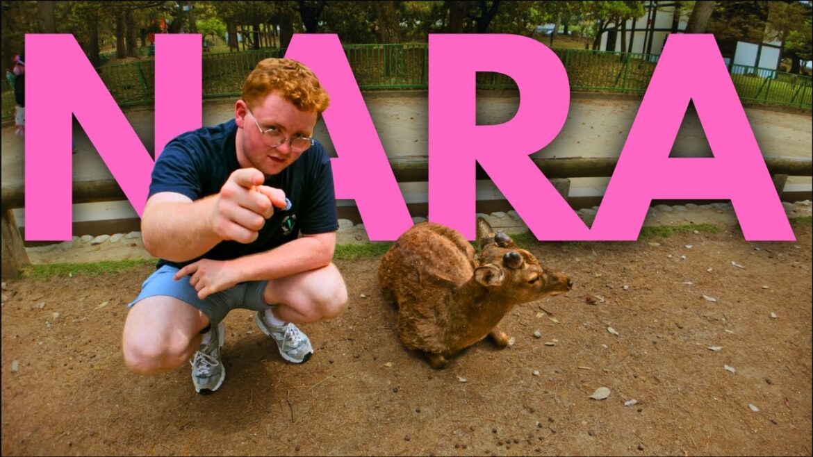 Meeting the Bowing Deer of Nara Park | Japan Travel Vlog 🦌