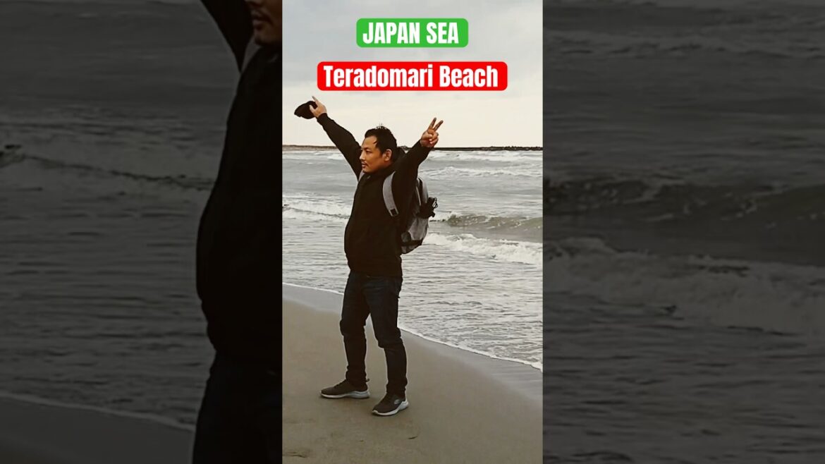 Japan Sea Beach with Friends #teradomari #japan #sea #beach #travel #shorts Japan Sea Beach with Friends #teradomari #japan #sea #beach #travel #shorts