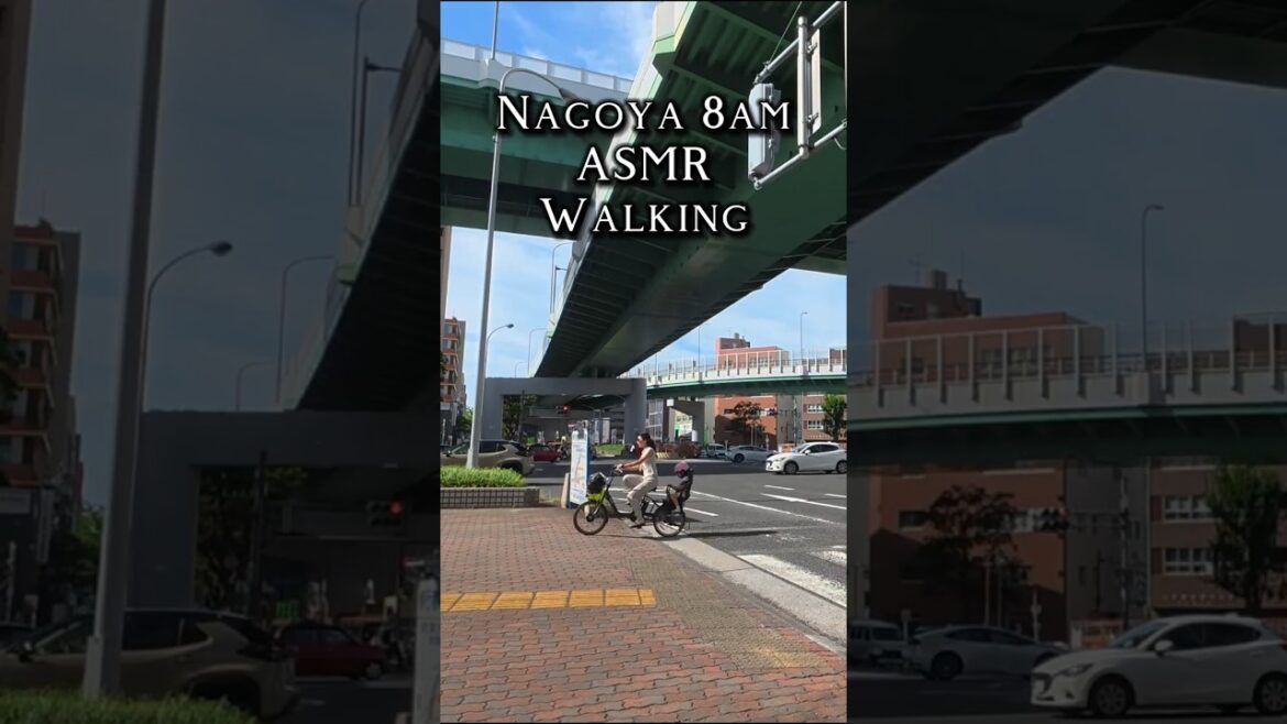 ASMR Morning Street Crossing in Nagoya | 8AM Workers & City Life #japan #travel #4kwalk #walkingtour ASMR Morning Street Crossing in Nagoya | 8AM Workers & City Life #japan #travel #4kwalk #walkingtour
