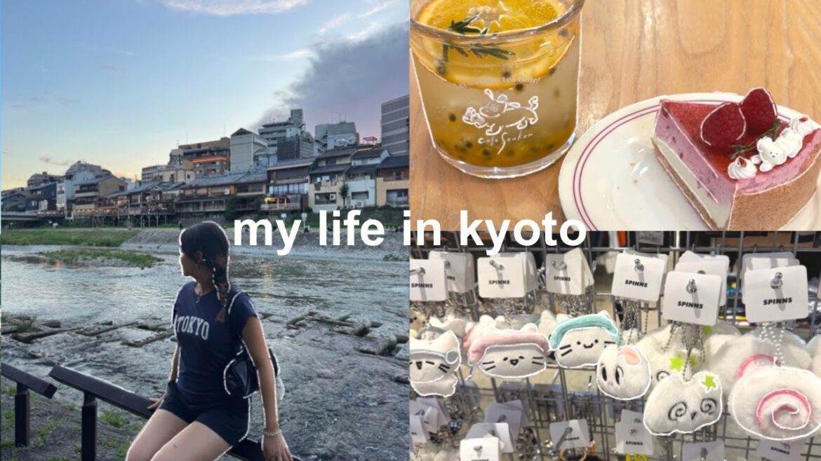 uni life in kyoto 🍒 | lake biwa beach day, osaka day trip, eats, end of semester, shopping uni life in kyoto 🍒 | lake biwa beach day, osaka day trip, eats, end of semester, shopping