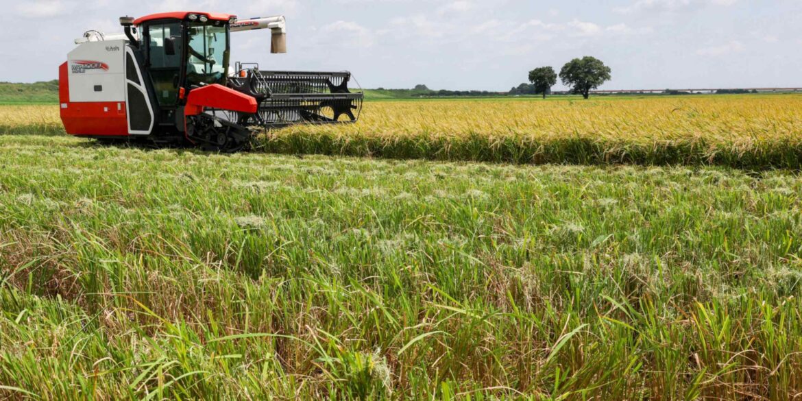 Japan’s Akazawa cancels trip over planned White House order to buy US rice Japan's Akazawa cancels trip over planned White House order to buy US rice