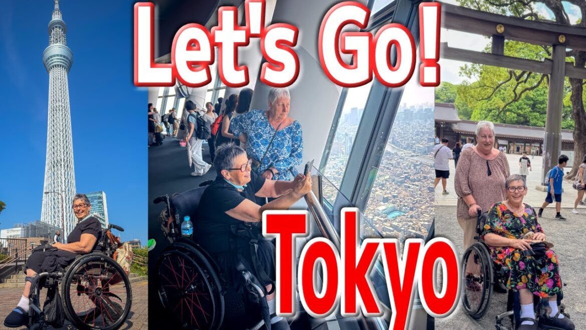 2 Days walk around in Tokyo with wheelchair