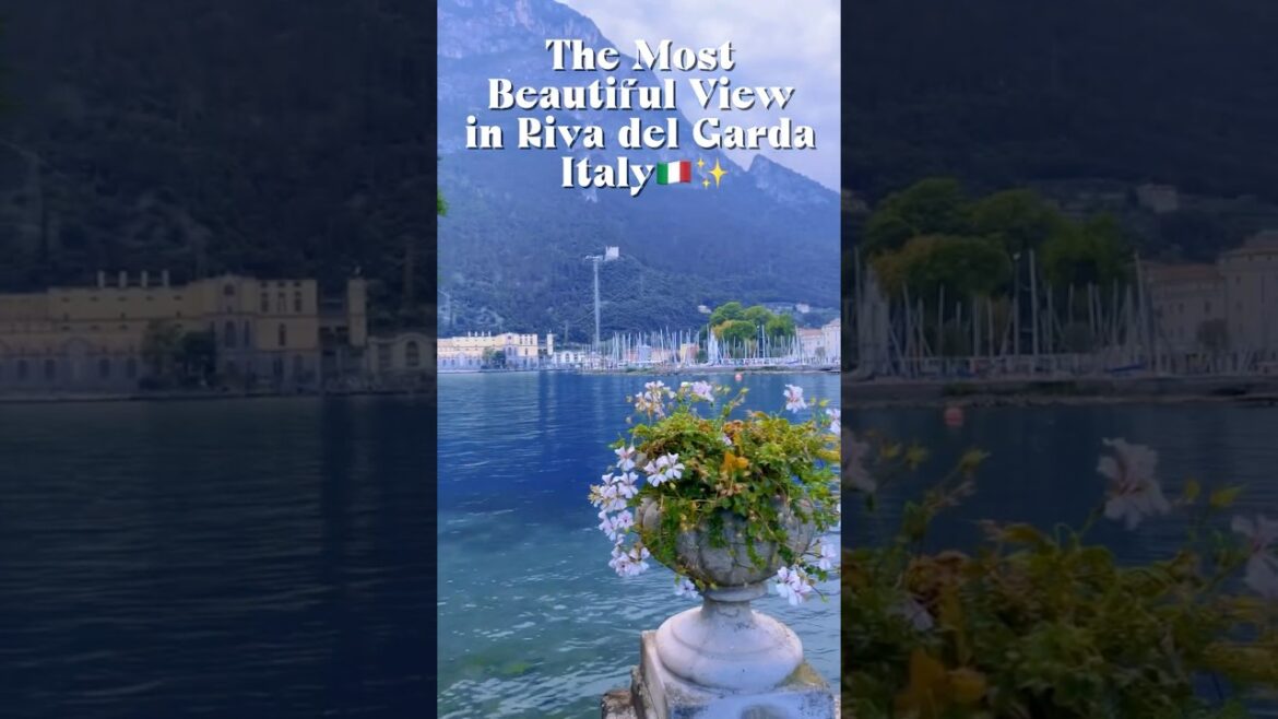 From Torbole to Riva โ This View Was Worth the Walk ๐๐๏ธ#travelshorts #italytravel #rivadelgarda From Torbole to Riva โ This View Was Worth the Walk ๐๐๏ธ#travelshorts #italytravel #rivadelgarda