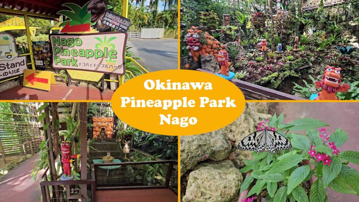 Travel Vlog | Okinawa (沖縄市) | Nago (名護市) | Nago Pineapple Park (ナゴパイナップルパーク)