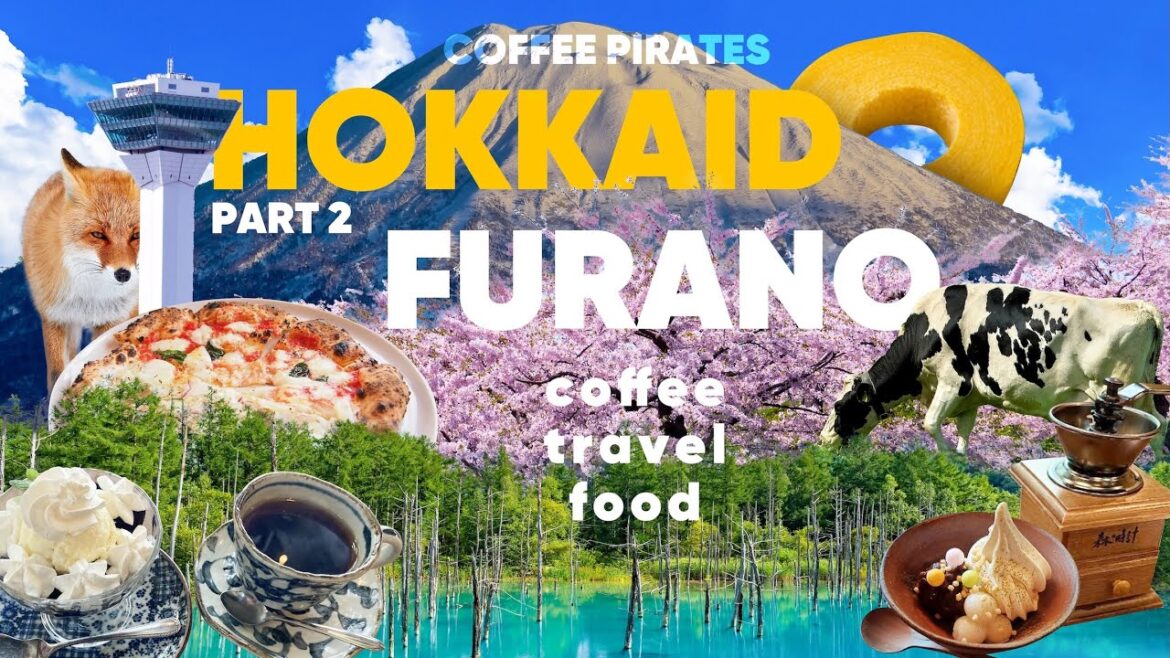 We Flew to HOKKAIDO Just for these CAFEs You Won’t Believe Existed Part2 We Flew to HOKKAIDO Just for these CAFEs You Won't Believe Existed Part2