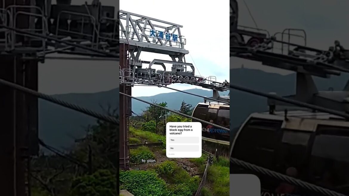 The ULTIMATE Mt Fuji day trip guide in my channel. #japan #tokyo #explore #travel #shinjuku