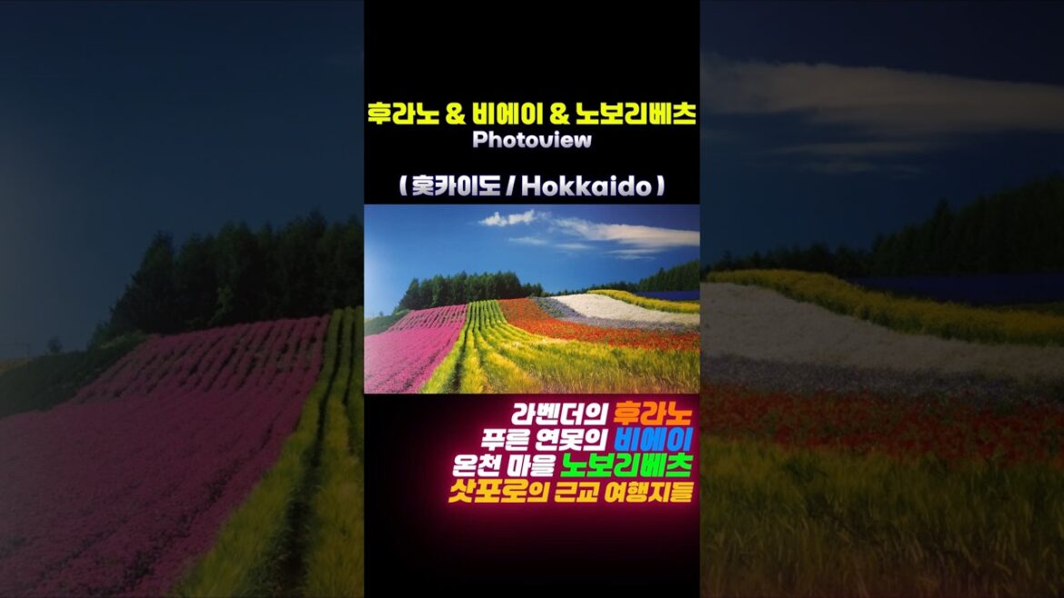 후라노&비에이&노보리베츠(홋카이도) 브리프 #Photoview #Japan #일본