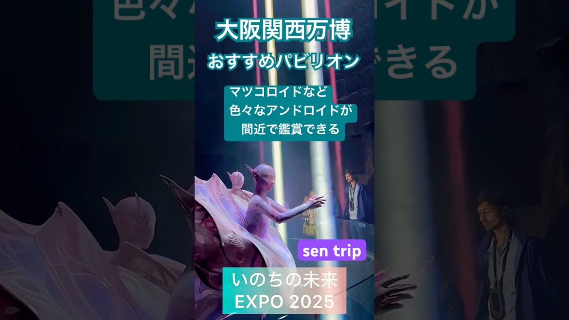 EXPO 2025 ✨いのちの未来✨マツコロイドなど色々なアンドロイドが鑑賞できる　#expo2025 #shorts
